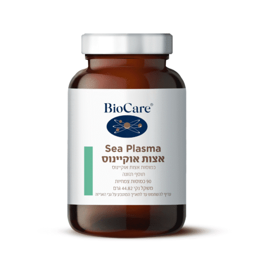 אצות אוקיינוס